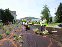 Activités des groupes en  au cfppa de Valdoie