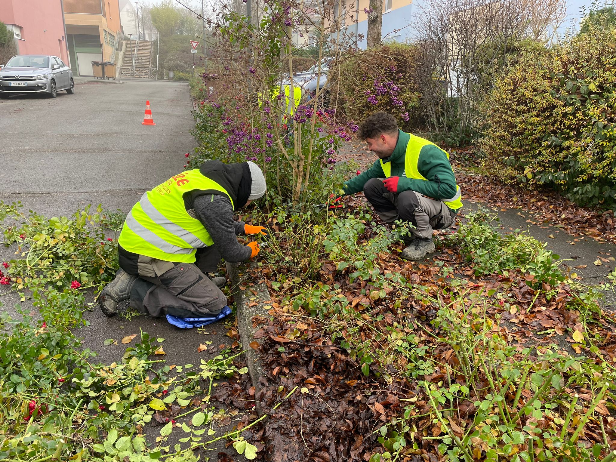 BP Aménagements Paysagers