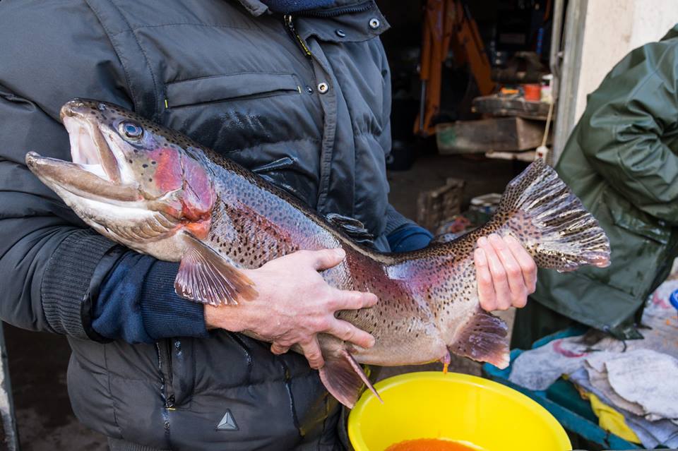 BP REA aquaculture présentiel
