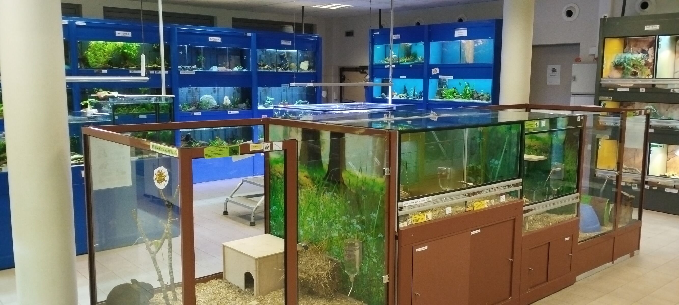 Atelier animalerie pédagogique