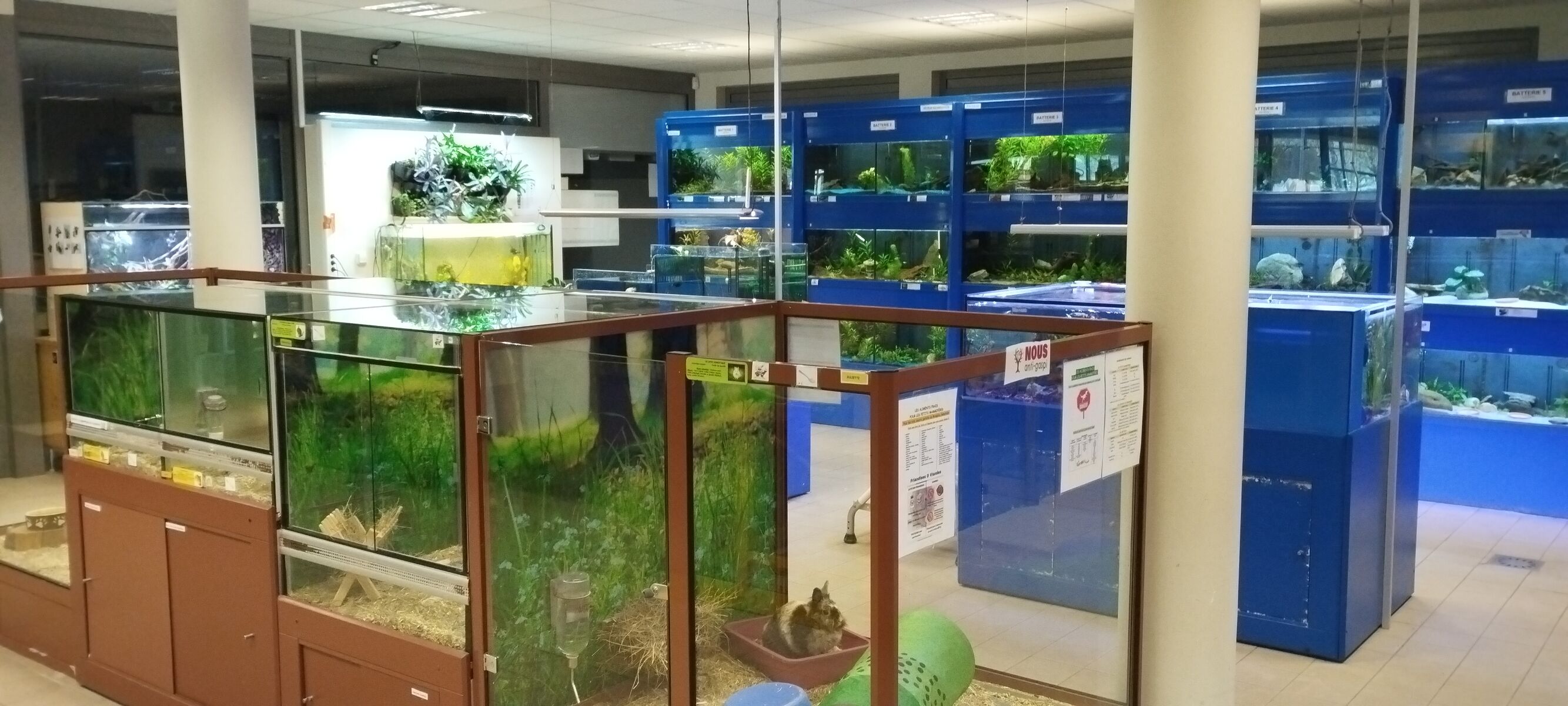 Batterie petits mammifères