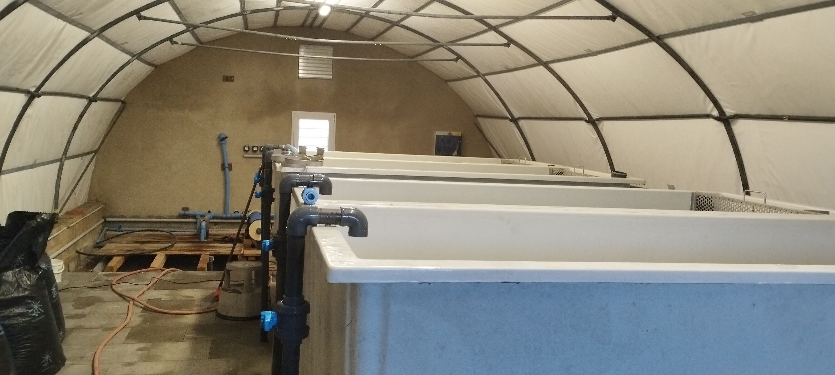 Système recirculé aquaculture - aquaponie