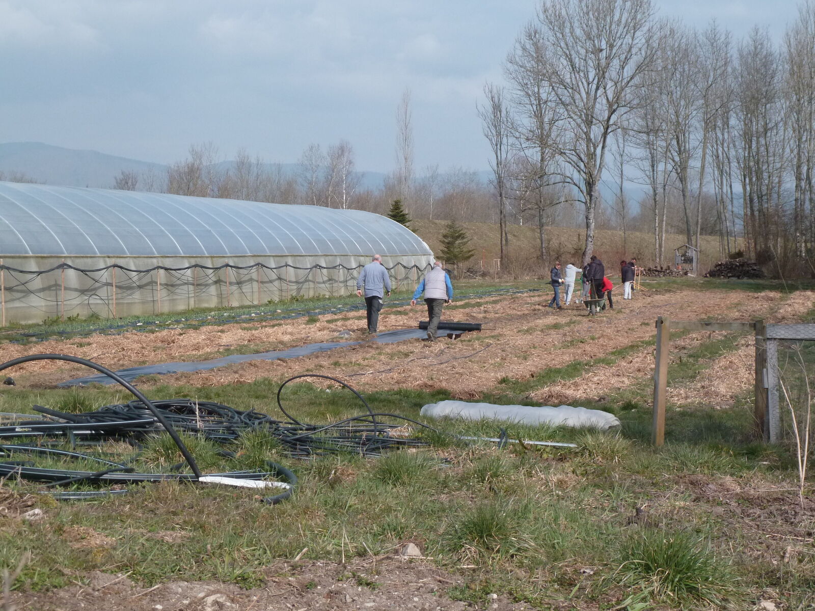 Serres de production maraichage