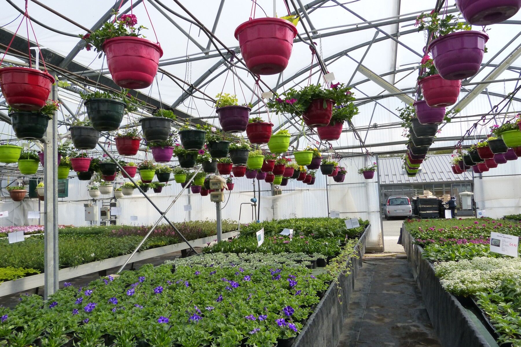 Serres de production horticole