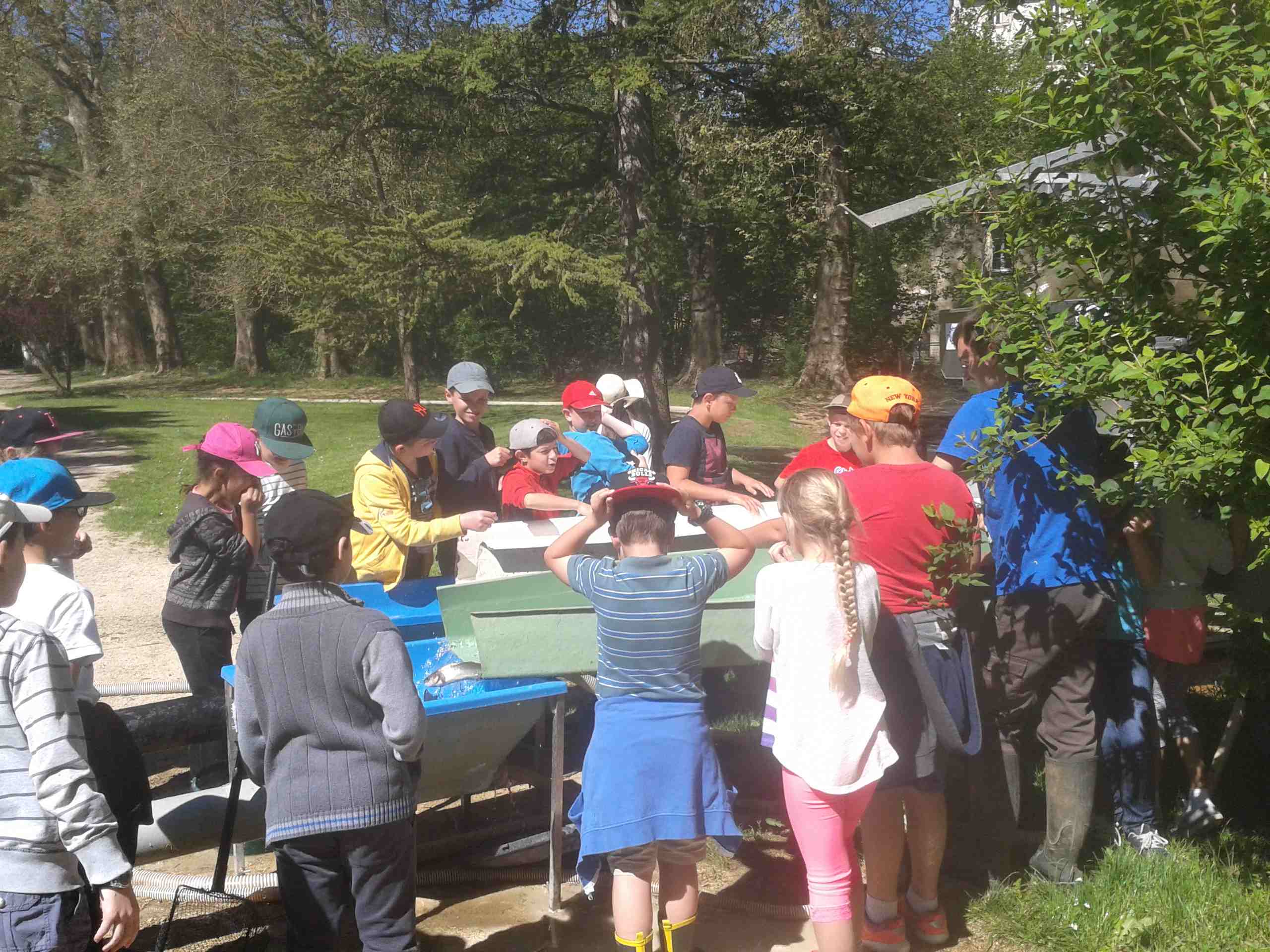 Photo de Stéphane D